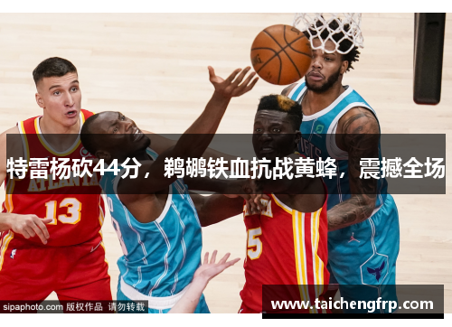 特雷杨砍44分，鹈鹕铁血抗战黄蜂，震撼全场